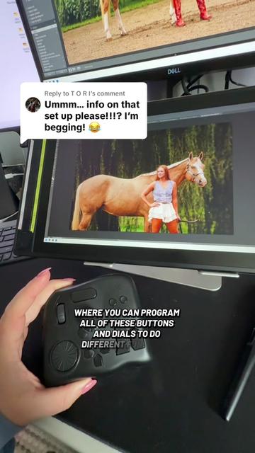 @Tisha 📸🦄 Equestrian Photog
