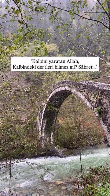 @Toprak Nevalesi