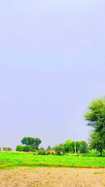 @bhai jaan