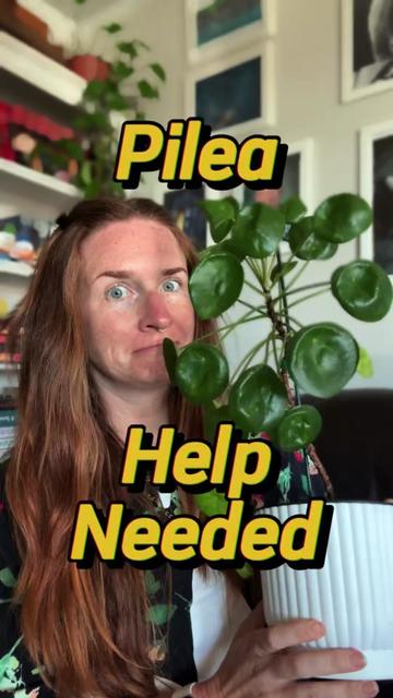 @kristactics