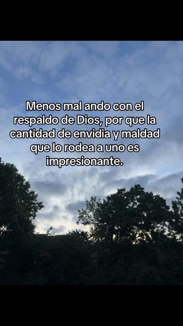 @sindyflores730