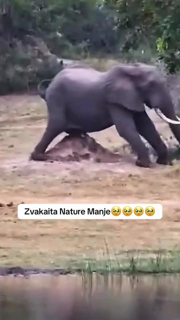 @Madzongo