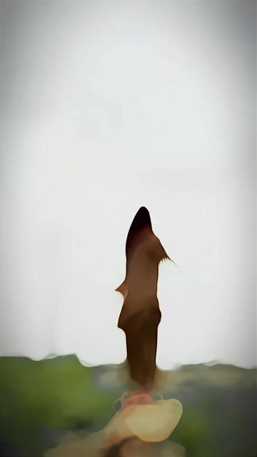 @â ïžïž ð¯ð¬ð¹ð¶ â ïžïž