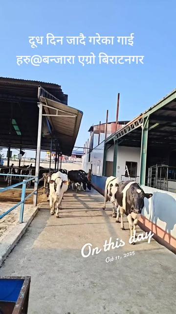 @Banjara Agro