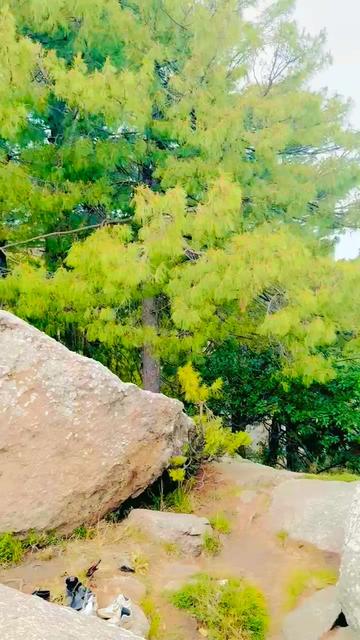 @Ajab Tanoli mansehra hazara