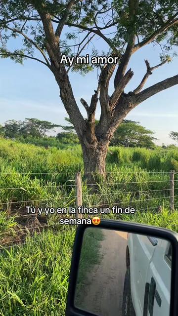 @Luis Fernando Silva 🐎🔥