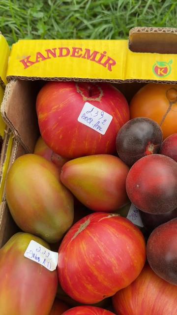 @tomat_po_lubvi