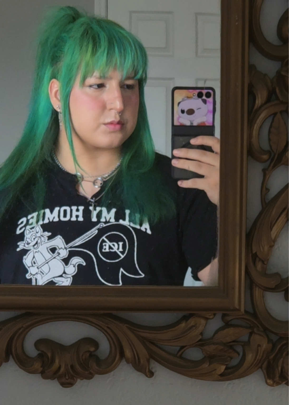 @phoenixfox