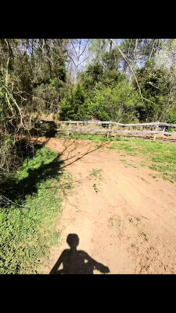 @altis. aiden