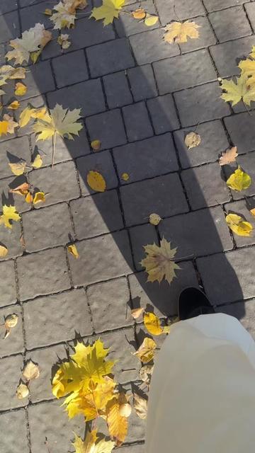 @Л;з@_ун_ька