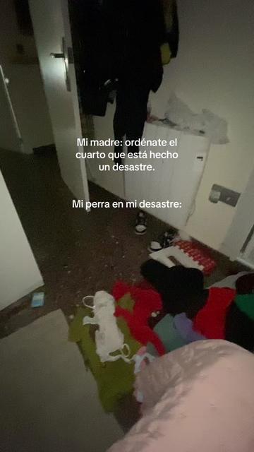 @𝑨𝒍𝒃𝒂 𝑴𝒐𝒍𝒊𝒏a