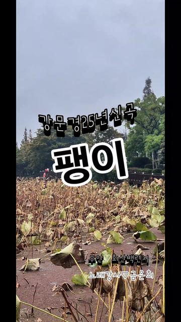 @금은희