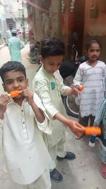 @mubarkhshah2020