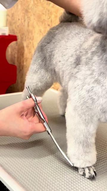 @Svans(スバンス)|トリマー向けシザー&バリカン専門