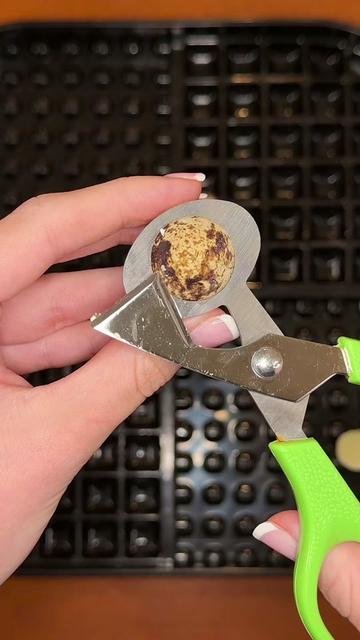 @Kayla Kowalski Nutrition