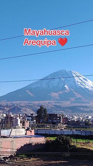 @Mayahuasca❤️