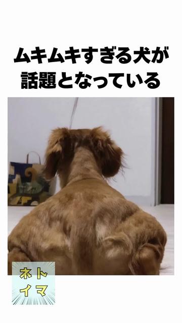 @user6530788422590