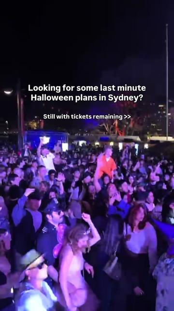 @Bondi Lines