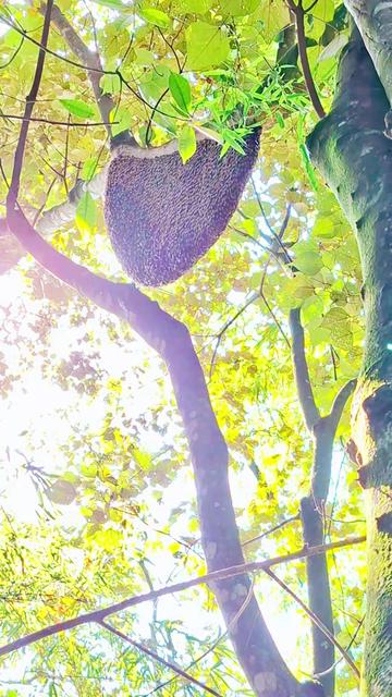 @Kết Nối Đam Mê Ong
