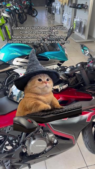 @EL INNOMBRABLE ✅