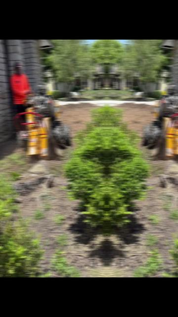 @G&O tree servicess