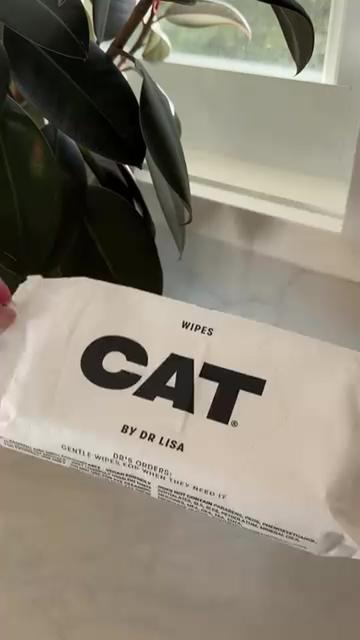 @CAT by Dr Lisa
