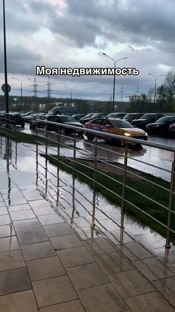 @Слойка корги