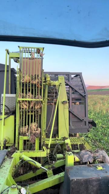 @gns__huseyin58