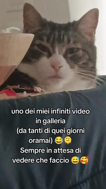 @Giulia Dario