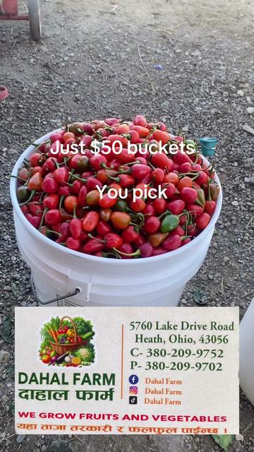 @B.A Organic Farm(380)209-9752