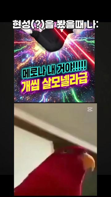 @아 아이디 뭐라고 하지?