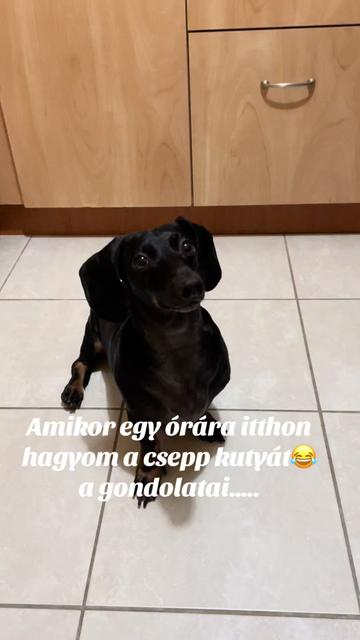@Ágota