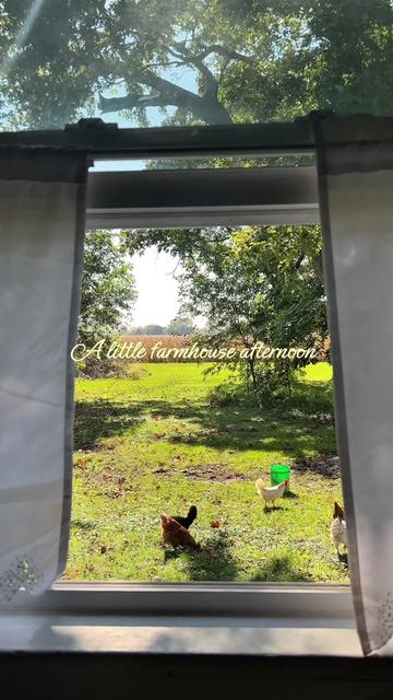 @Mackenzie ✿ frilly farm life