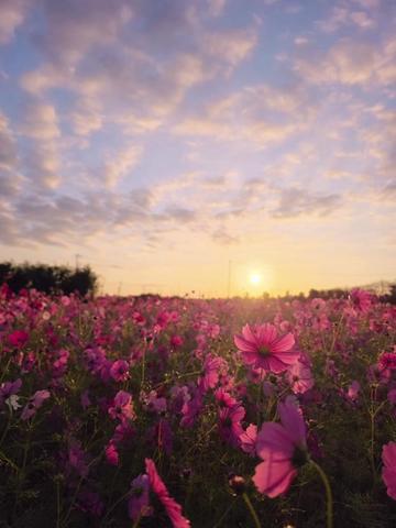 @📷kai🎥
