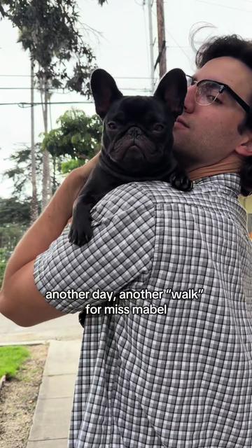 @Mabel the Frenchie
