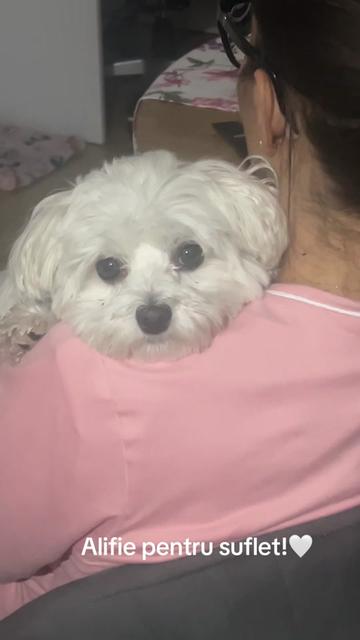 @Luna 🌝