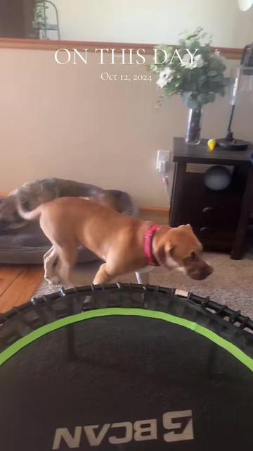 @wyoming_in_the_house