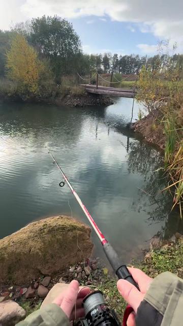 @Alba Trout 🏴