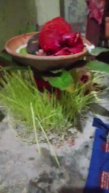 @Rekha__kalwar2