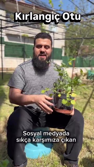 @Dr. Muhammed Ali AKDOĞAN