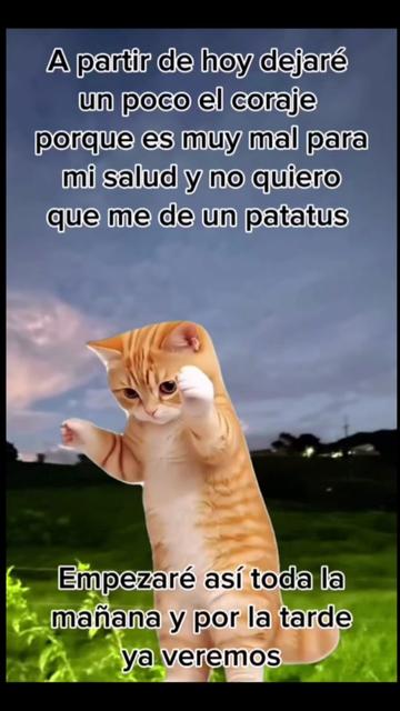 @Pedro Cruz