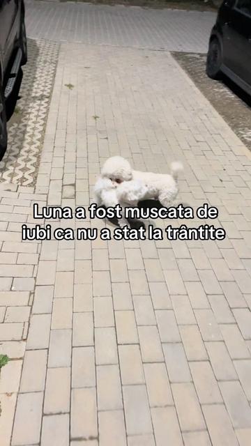 @Luna 🌝