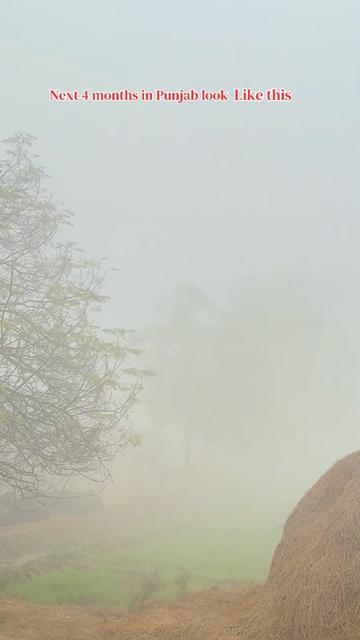 @ابوبکر اعوان (گل والا )