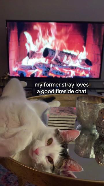 @Savi