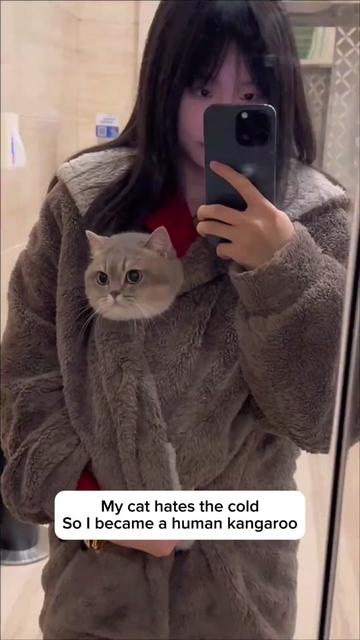 @Purrfect Oasis