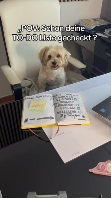 @DogMilow