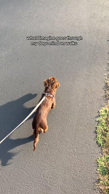@It’s Frankie Girl