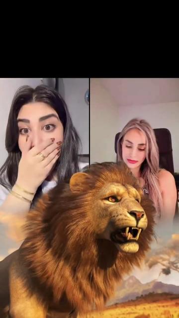@iRoz💎