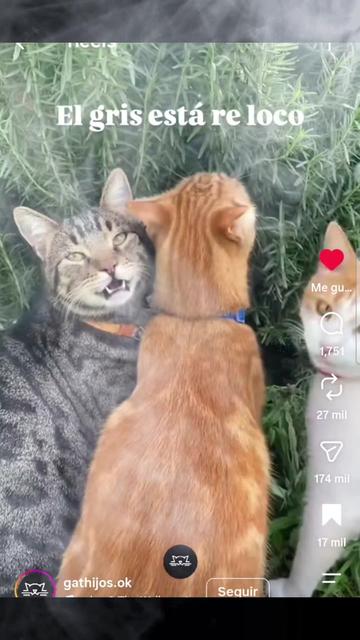 @๐๐๐ฃ๐๐ ๐ฆโค