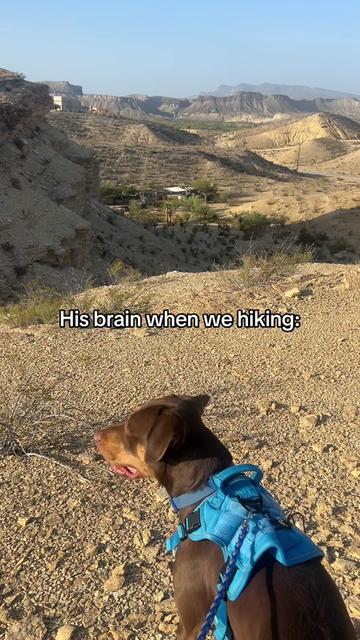 @VIC